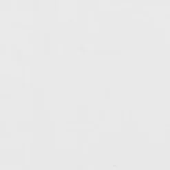 Historic Charleston Charles Matelassé Coverlet -Bedding Shop 2805122 ALT4