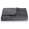 Altavida® 12-lb. Ultra Plush Faux Mink Weighted Blanket