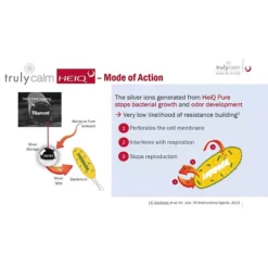 Truly Calm Quilt Set With Shams -Bedding Shop 4478658 ALT6