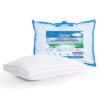 Claritin Allergen Barrier Pillow